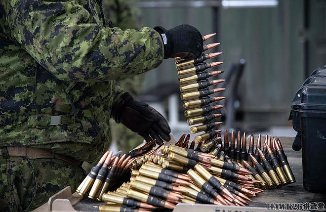 加拿大陆军航空兵赴美国演习 准备武器弹药 进行实弹射击训练 - 6