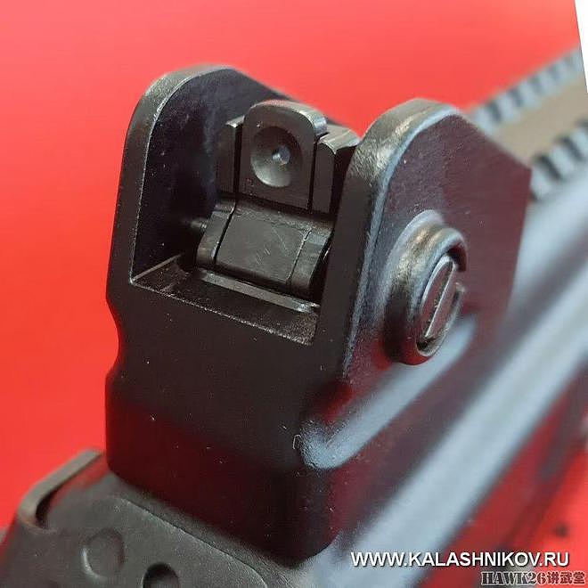 卡拉什尼科夫集团推出AK-12M1步枪 根据实战经验改进 明年将投产 - 3