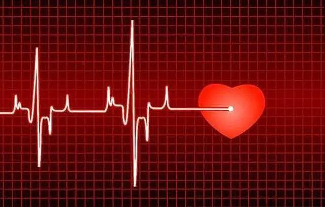 心率越慢，活得越久？正常心率范围是多少？最新研究结果公布 - 1