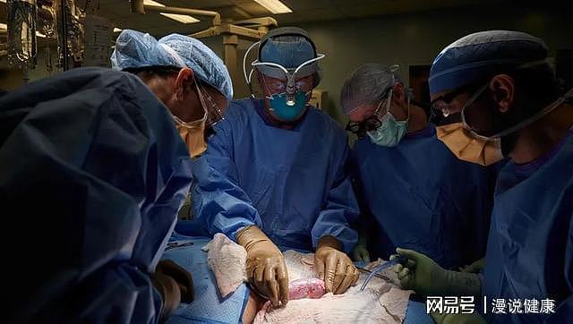 全球首例猪肾移植人体成功：这则新闻，能否改变数十万人的命运？ - 1