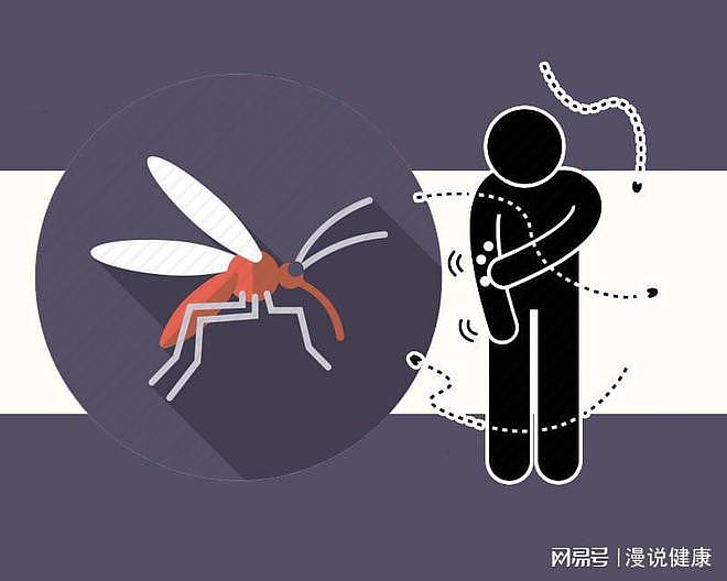 持续50年，堪比二战还要激烈？与蚊子的斗争，为何糖友们更危险？ - 7