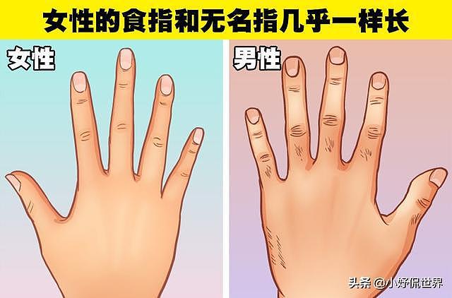 女性的食指和无名指几乎一样长？很少有人知道男女之间的8种差异 - 6