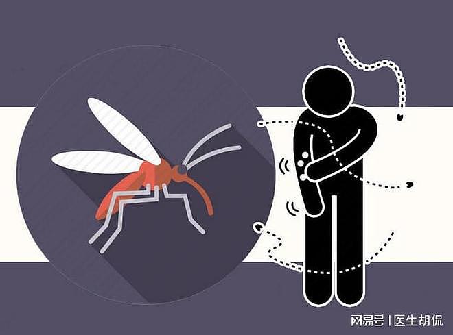 体胖的人更容易遭受蚊子叮咬：5个防蚊小妙招，让蚊子离你而去 - 4