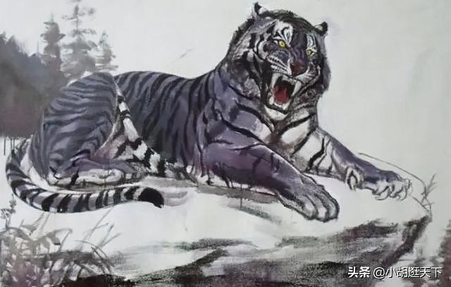 世界上真的有黑虎吗？印度孟加拉虎出现黑色变种，难得一见 - 3