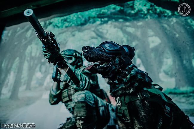 波兰陆军JWK特种部队发布最新宣传照 军犬成主角“武装到狗头” - 1