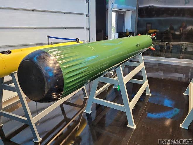“军队2023”国际军事技术论坛开幕 俄罗斯战术导弹公司秀大杀器 - 14