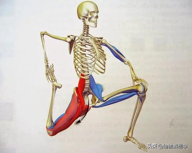 拉伸大腿前侧最全的14个瑜伽动作 - 1
