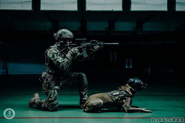 波兰陆军JWK特种部队发布最新宣传照 军犬成主角“武装到狗头” - 3