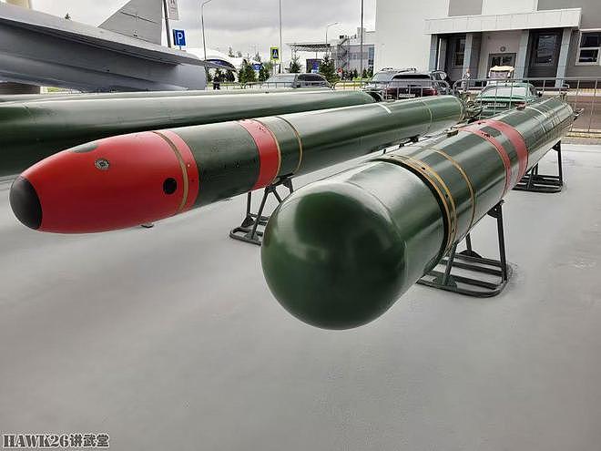 “军队2023”国际军事技术论坛开幕 俄罗斯战术导弹公司秀大杀器 - 16
