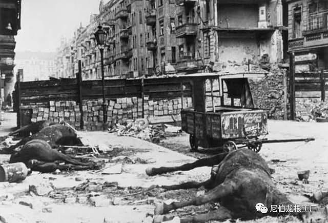 魔窟街垒：柏林战役期间的反坦克工事 - 26