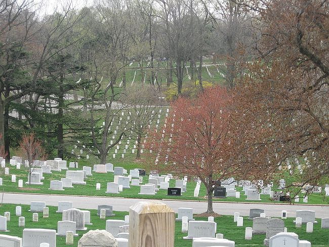 军人栖息的荣耀：由美国陆军部直接管辖的阿灵顿国家公墓 - 3