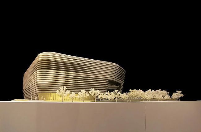 “冰坛”设计负责人卢鹏：建造有温度的奥运场馆 - 7