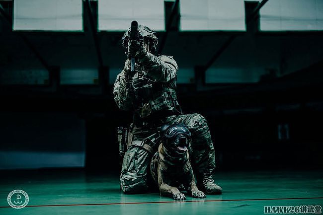 波兰陆军JWK特种部队发布最新宣传照 军犬成主角“武装到狗头” - 5