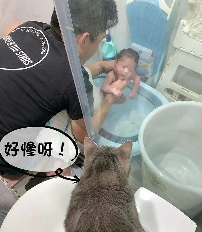 给宝宝洗澡时，猫咪在边上着急地嗷嗷叫，结果...笑裂哈哈哈！ - 1