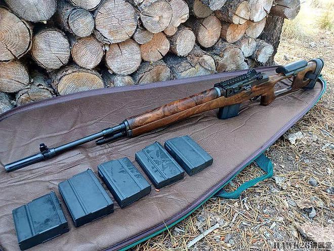 美或丑：采用SVD枪托的M14步枪 优质胡桃木打造的“邪教”产物 - 3