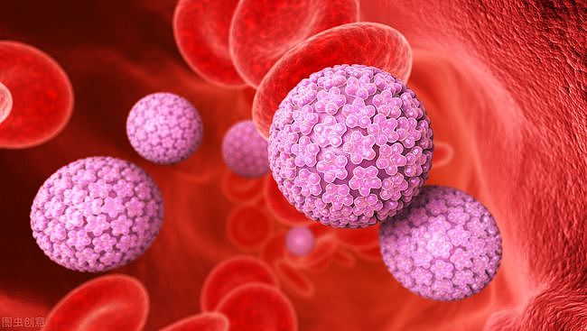 HPV病毒通过洗衣机间接传染？3种传播途径诱发宫颈癌，如何预防？ - 2