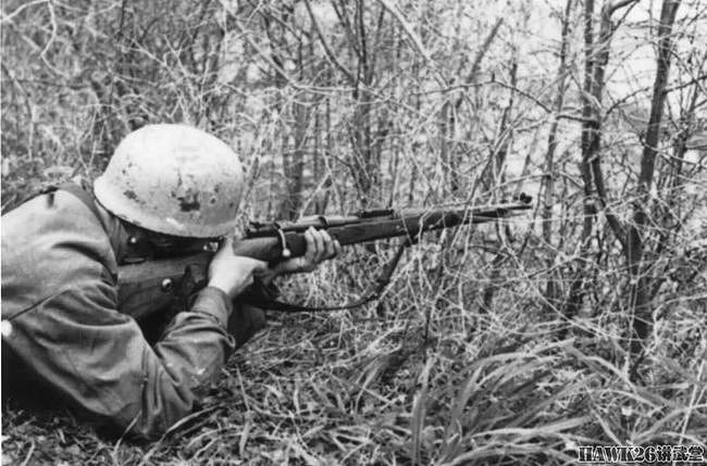宿命仇敌：M1加兰德 vs 毛瑟98k 演绎二战时期经典步枪的巅峰对决 - 7