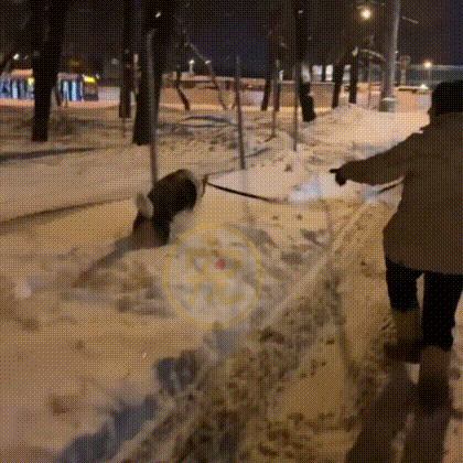 冰天雪地里站着走路的流浪狗，被路人嫌弃取笑，背后真相让人心疼 - 11