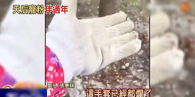 张惠妹春节陪家人干农活，徒手搬石头手套都磨破，打扮朴素似工人 - 3