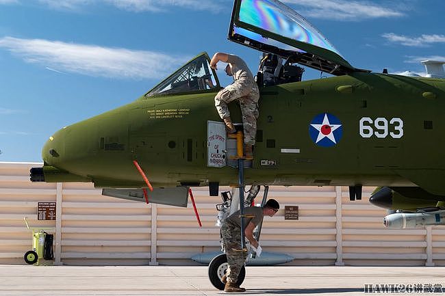 A-10特殊古典涂装亮相 纪念马里兰州空军国民警卫队成立100周年 - 2