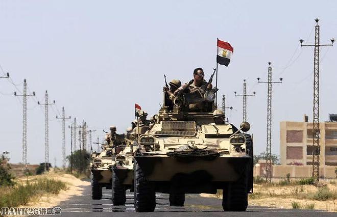 埃及拒绝美国要求 不向乌克兰提供武器 美议员呼吁停止对埃军援 - 7