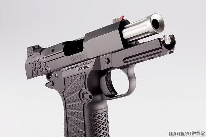 评测：威尔森战斗公司SFX9 3.25 15发手枪 全尺寸握把超紧凑手枪 - 5