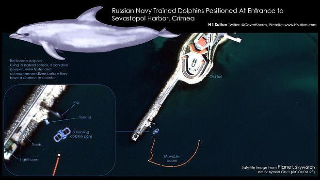 卫星照片分析：俄军部署海豚保护黑海军事基地内的船舰 - 2