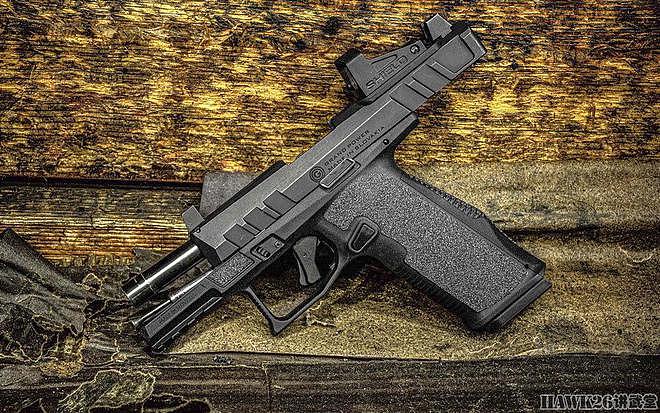 强大力量公司P24 LP24手枪 斯洛伐克简约设计风格 兼容格洛克弹匣 - 7
