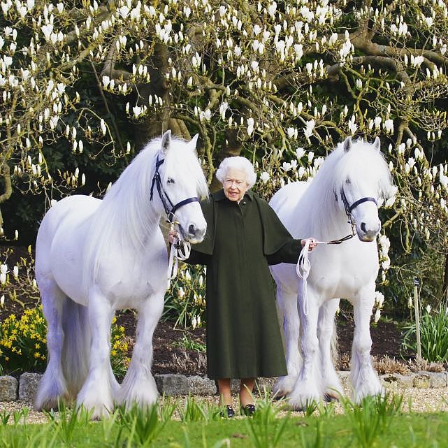 英女王96岁生日官方照出炉！穿斗篷衣牵着马儿亮相，对梅根心软了 - 1