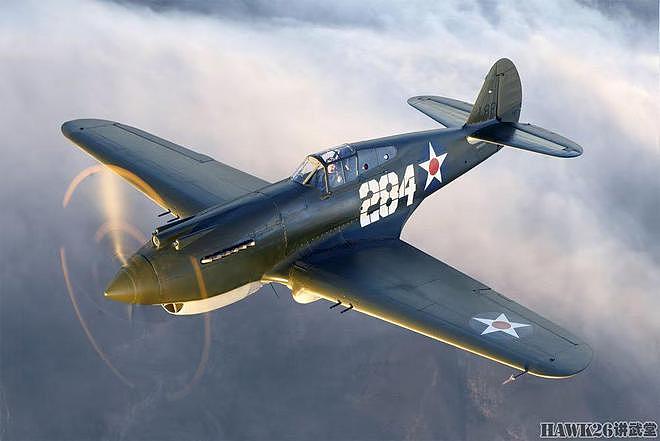 P-40战斗机在北非两次俯冲 却成就了刺杀希特勒 战争中的蝴蝶效应 - 12
