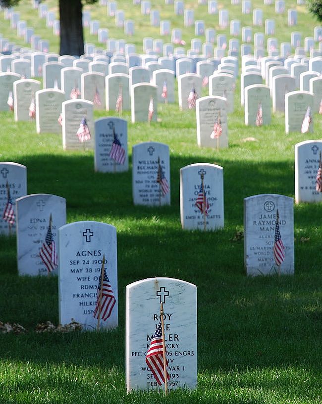 军人栖息的荣耀：由美国陆军部直接管辖的阿灵顿国家公墓 - 7