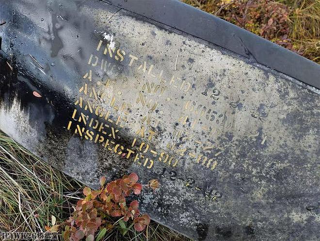 俄罗斯地理学会和国防部组织探险队 搜索二战坠机残骸 建立纪念碑 - 15