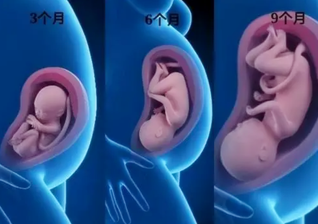 怀孕后如果是这三种“体型”，说明胎儿状况良好，孕妈不用担心 - 3