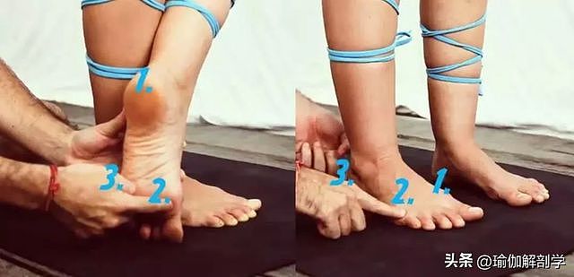 练瑜伽，学会脚掌发力原来那么重要 - 3