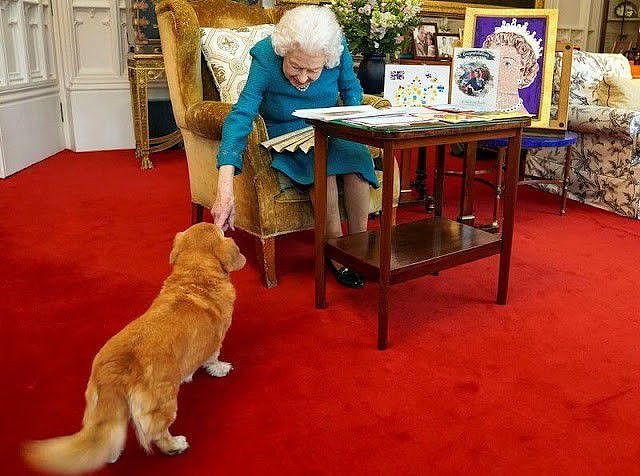 英国女王闪耀亮相茶话会！光腿穿蓝裙超迷人，脸上的皱纹太真实了 - 11