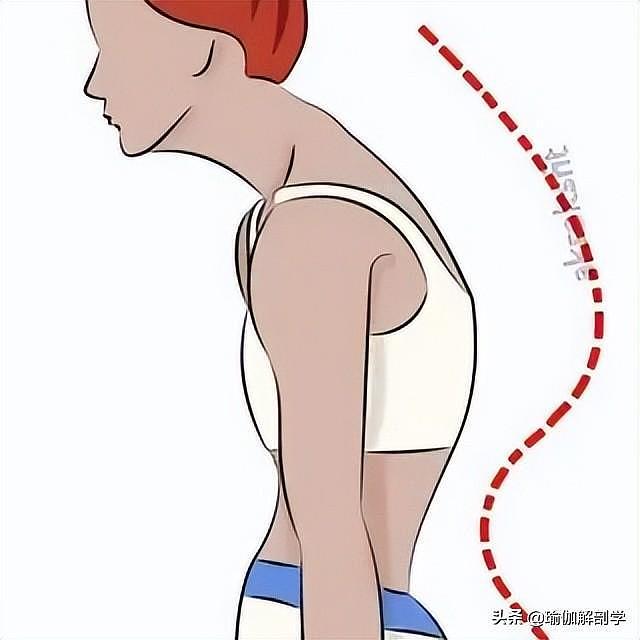 1 套脊柱调理瑜伽，缓解腰酸背疼，让脊柱更年轻 - 2