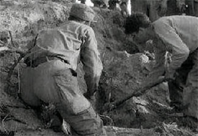 志愿军意志有多坚定？美军记者拍到一个坚守坑道被硬拖出的小战士 - 4