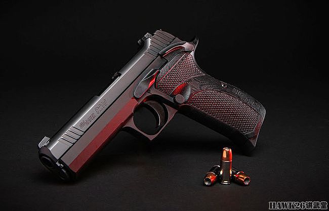 “绅士之枪”西格绍尔P210 Carry手枪 继承经典设计 汇集现代技术 - 1