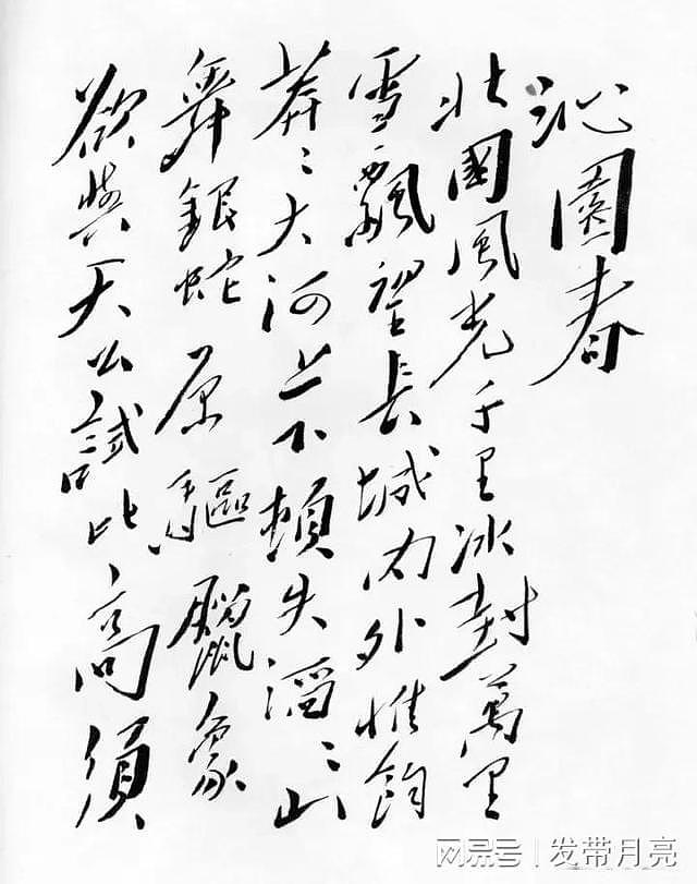毛主席书法和蒋介石书法的截然不同：一草书，一楷书，字如其人 - 2