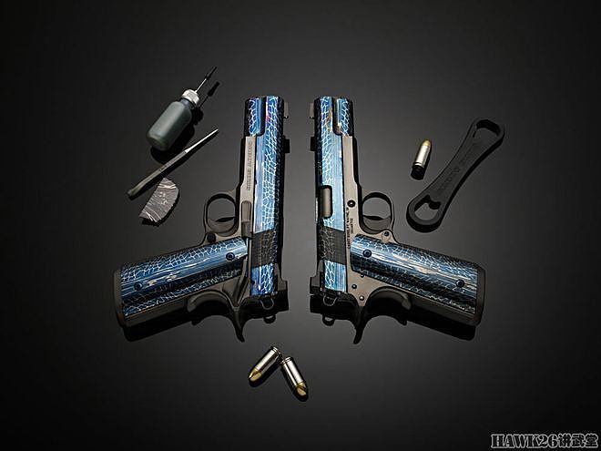 卡博特“亚特兰蒂斯”珍藏版手枪“大马士革仙人”提供精美钢材 - 3