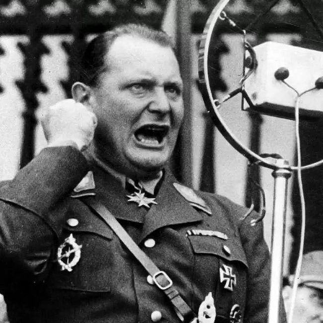 反对希特勒跟苏联开战，因枪伤染上毒瘾，戈林为何能做德国元帅？ - 1