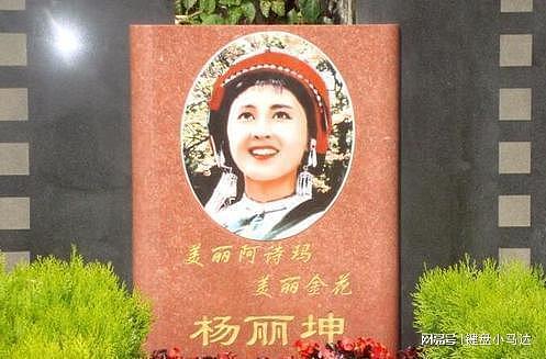 最美阿诗玛杨丽坤的传奇婚姻，嫁给矿工幸福半生 - 11