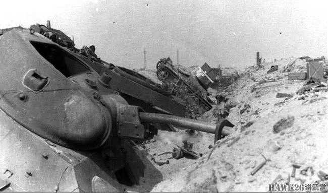 80年前 苏军建立“涅夫斯基桥头堡”人类战争史伤亡最密集的战场 - 13