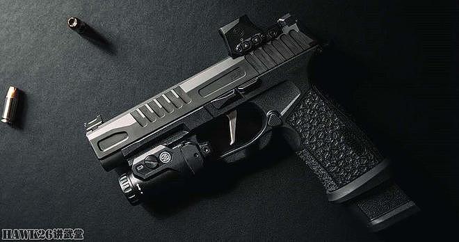 西格绍尔P365-FUSE手枪“微型紧凑型勤务”终于推出全尺寸型号 - 9