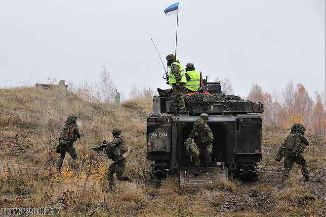 在乌克兰作战的“志愿战士”返回爱沙尼亚 培训本国军队改进战术 - 6