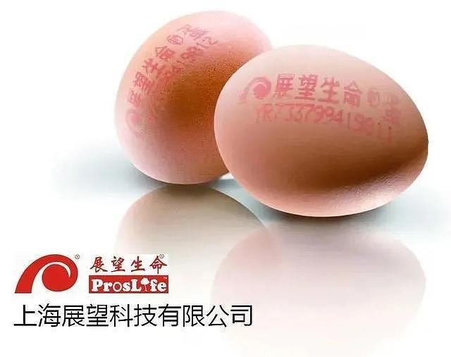 “中国欧米伽3领军人物”罗正年揭开：欧米伽3鸡蛋的秘密—— - 4