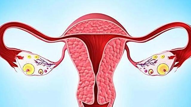 卵巢功能好的女人，一般有这几个表现，你有几个？ - 1