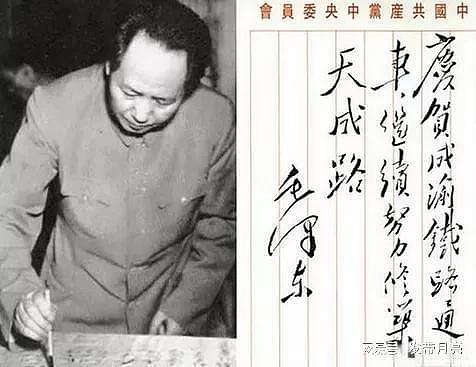 毛主席书法和蒋介石书法的截然不同：一草书，一楷书，字如其人 - 4