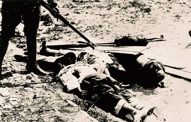 日本兵笔下的扫荡：大队长下令一律杀光，妇女和孩子也不放过 - 8