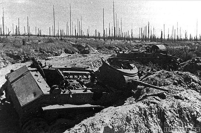80年前 苏军建立“涅夫斯基桥头堡”人类战争史伤亡最密集的战场 - 12